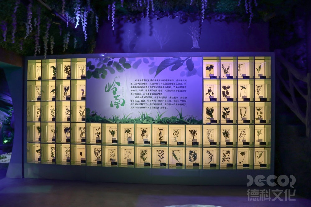 科技展廳設計中，如何合理利用空間和布局展示多個主題或領域？
